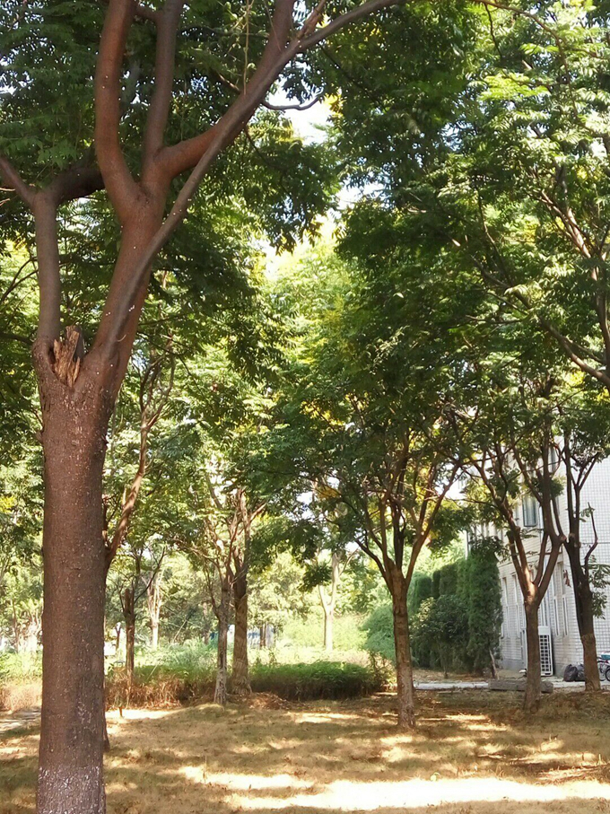 18《客舍青青柳色新》 艺设161郭艳萍.jpg